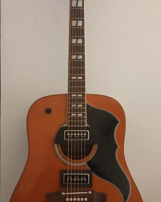 Chitarra acustica Eko Ranger VR Custom