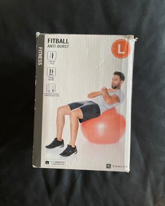 Fitball taglia L