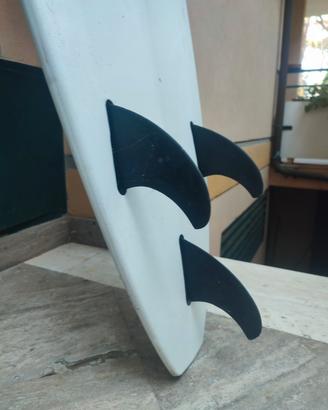 tavola da surf Minimalibu BIC  6' 3