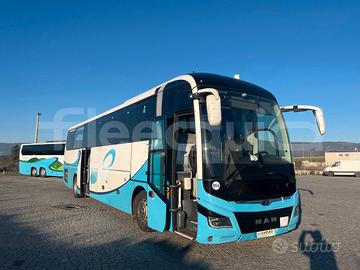 Man Lion's Coach