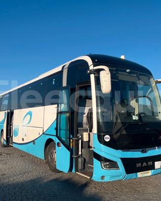 Man Lion's Coach