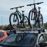 portabici universale Fabbri per auto