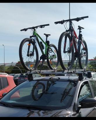 2 portabici universali Fabbri per auto