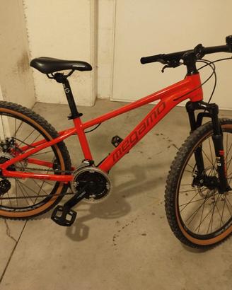 Bicicletta