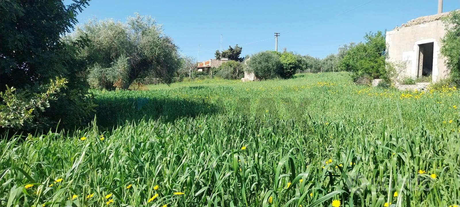 Terreno - Pozzallo - Vista 3