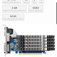 Scheda grafica Asus GT 610 , 2GB 