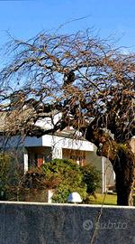 Villa impeccabile a Passons Udine