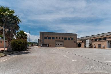 Caraffa area PIP, capannone di ca 1500 mq