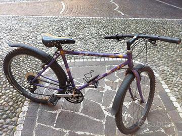 Bicicletta uomo