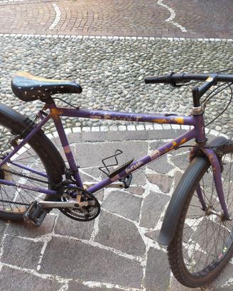 Bicicletta uomo