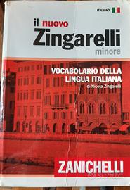Il nuovo Zingarelli minore