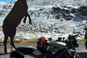 Triumph street triple 765 RS 2022