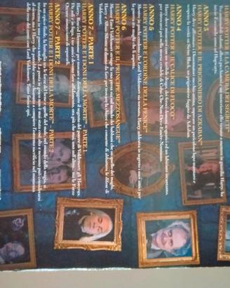 Collezione completa 8 film in DVD di Harry Potter