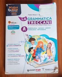 La Grammatica Treccani (A) Morfologia (Usato)