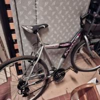 bicicletta mountain bike