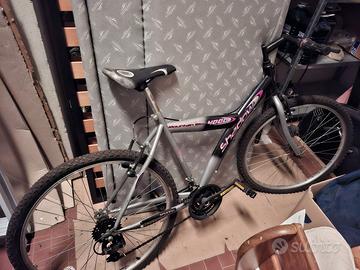 bicicletta mountain bike