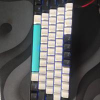 anne pro 2 60%