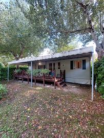 Casa Mobile Usata 980x300 Willerby COTTAGE