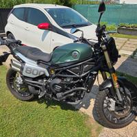 Benelli Leoncino 800 Trail - 2022