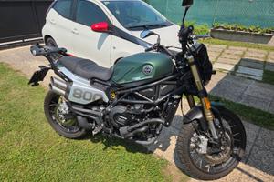 Benelli Leoncino 800 Trail - 2022