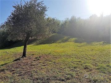 Terreno di 3000 m² a Lucca