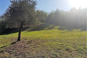 Terreno di 3000 m² a Lucca