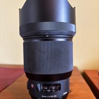 Sigma 85 Art
