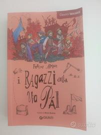I ragazzi della via pal