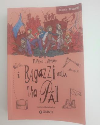 I ragazzi della via pal