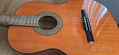 Chitarra acustica salterio