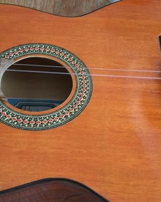 Chitarra acustica salterio