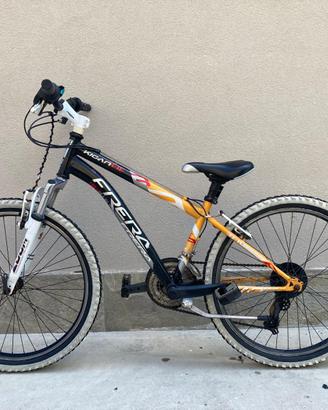 mountain bike FRERA uomo