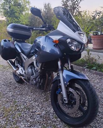 Yamaha TDM 900 Asi