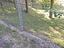 Immagine 28