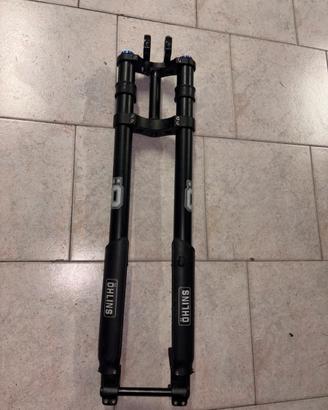 forcelle dh 200mm
