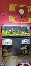 Acquario zolux