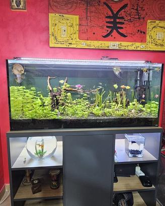 Acquario zolux