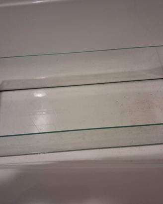 Tartarughiera vetro zolux 38 litri