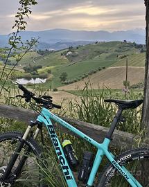bicicletta