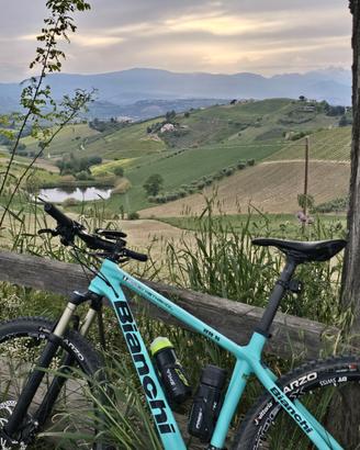 bicicletta