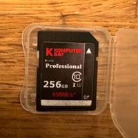 Scheda memoria Komputer bay 256 GB