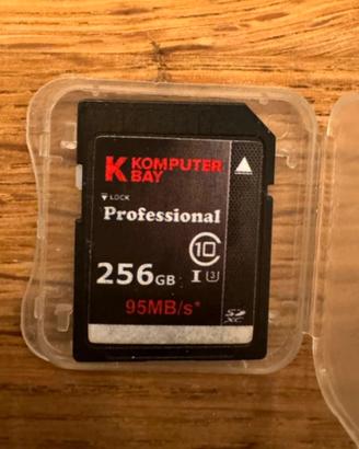 Scheda memoria Komputer bay 256 GB