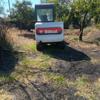 Bobcat 331