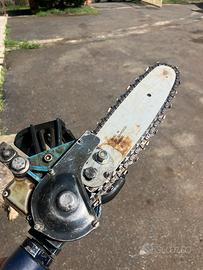 forbici e sega da potatura