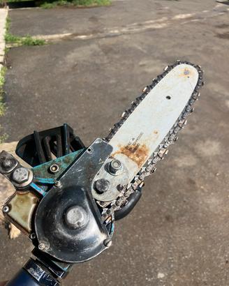 forbici e sega da potatura