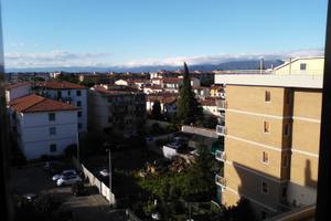 Stanza doppia uso singola - legnaia