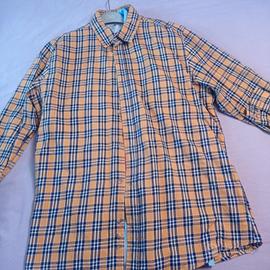 camicia e