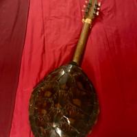 Chitarra di guscio di tartaruga