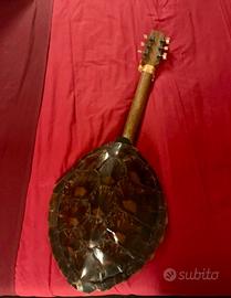 Chitarra di guscio di tartaruga