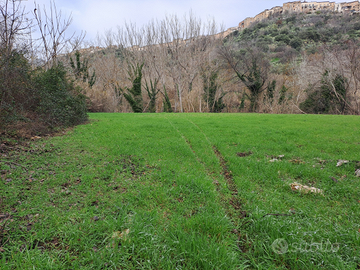 . Terreno Agricolo presso San Rocco